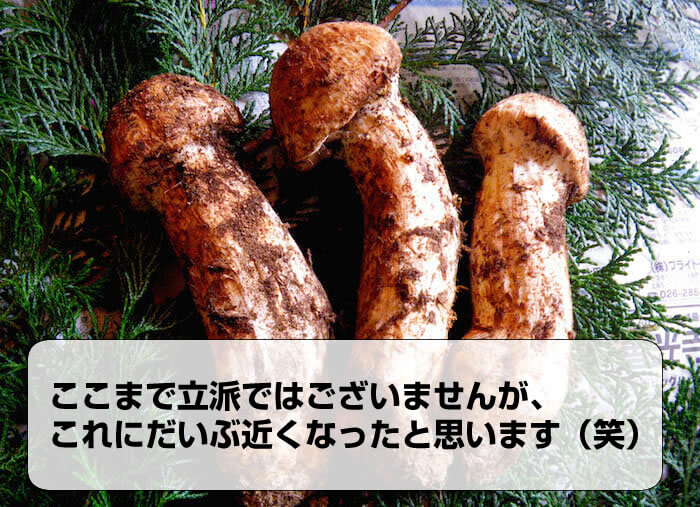 一週間しても亀頭の血色は以前よりよく皮も剥けている