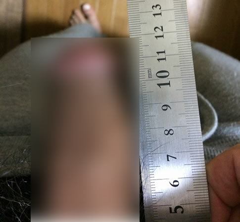 リザべリン効果を目の当たり