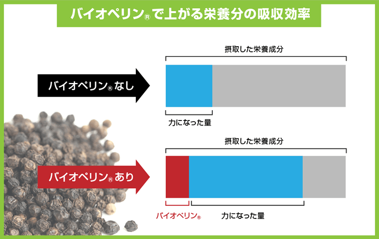 アプソルシン　バイオペリン