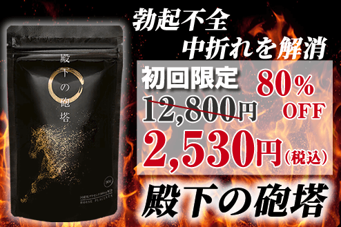 殿下の砲塔 2,530円