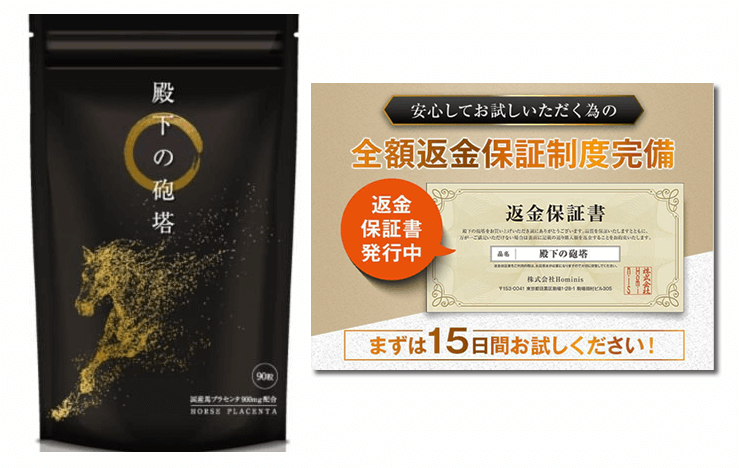 殿下の砲塔が届きました