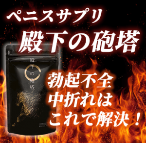 殿下の砲塔