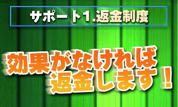 ビトレリンブーストの返金保証