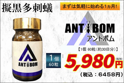ANTBOM（アントボム）