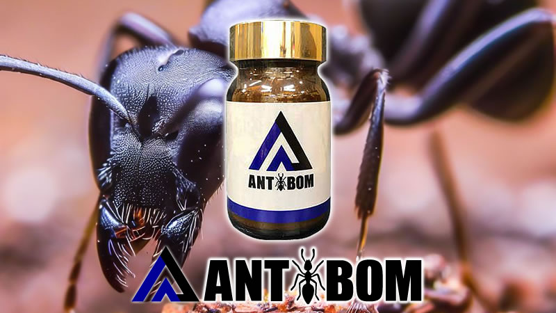 精力増強・増大サプリ「ANTBOM（アントボム）」